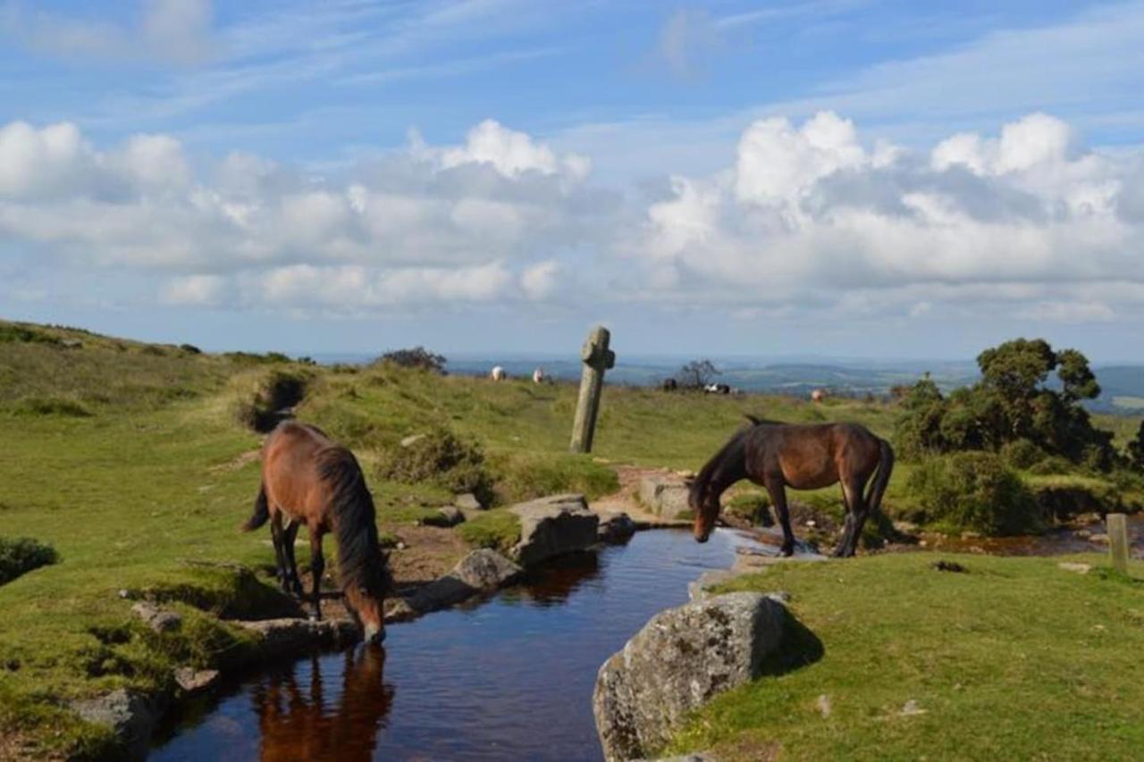 Morwenna Lägenhet Dawlish Exteriör bild